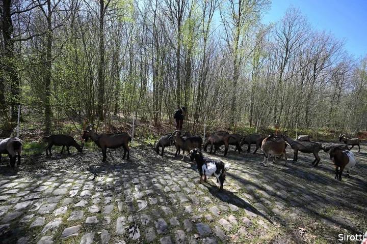geiten-arenberg-roubaix-wallers