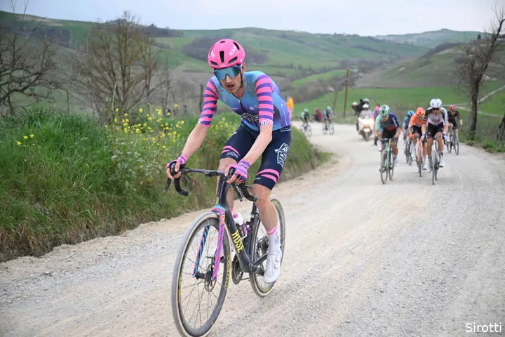 wout-poels