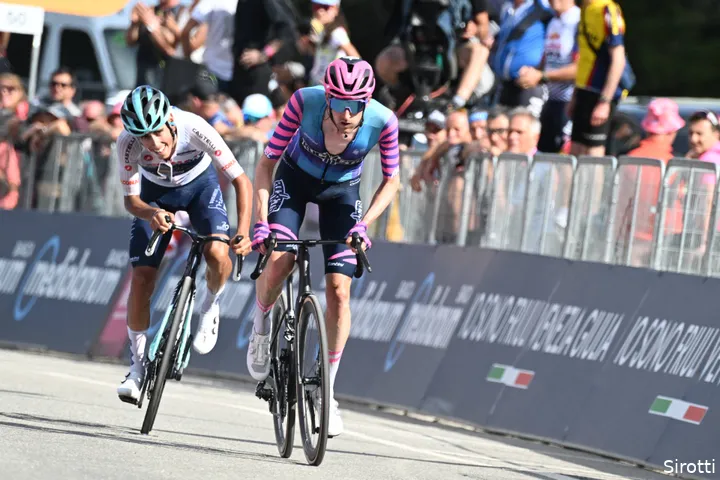 wout-poels