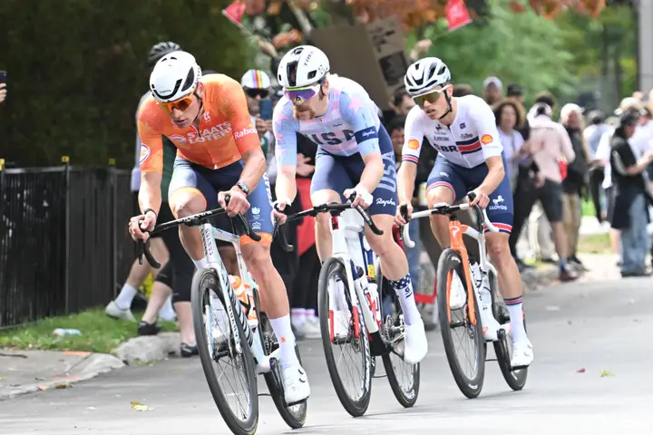 van-der-poel-simmons-onley