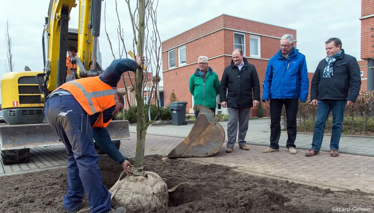 aanplant nieuwe bomen