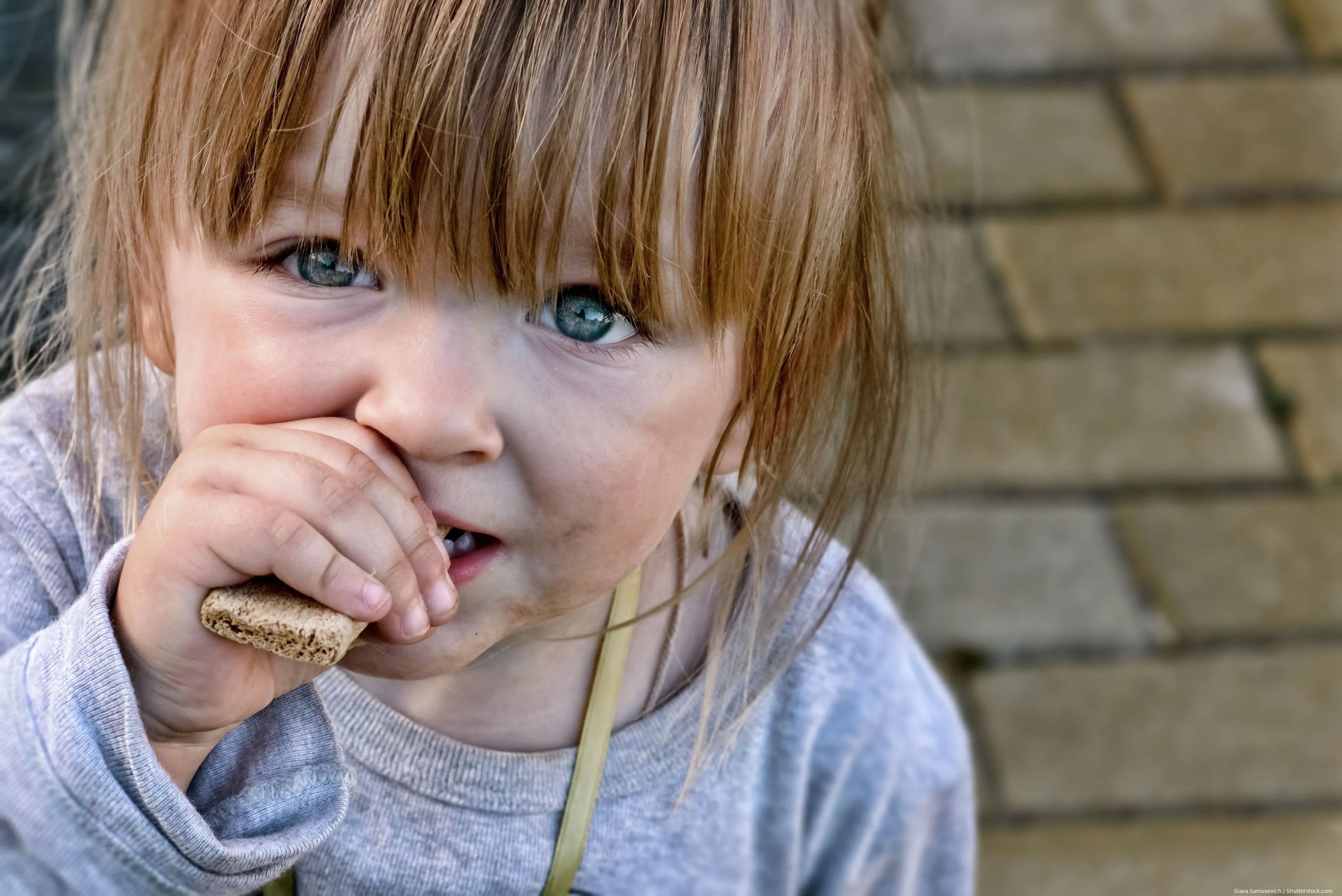 shutterstock 210938179