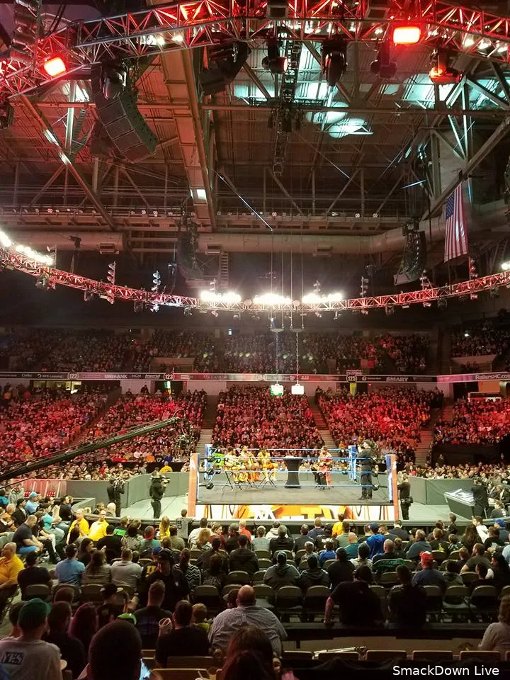 33226093 10214688392630974 2936315449165479936 n