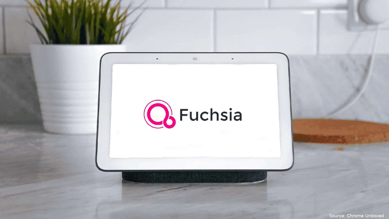 fuchsia feature 1