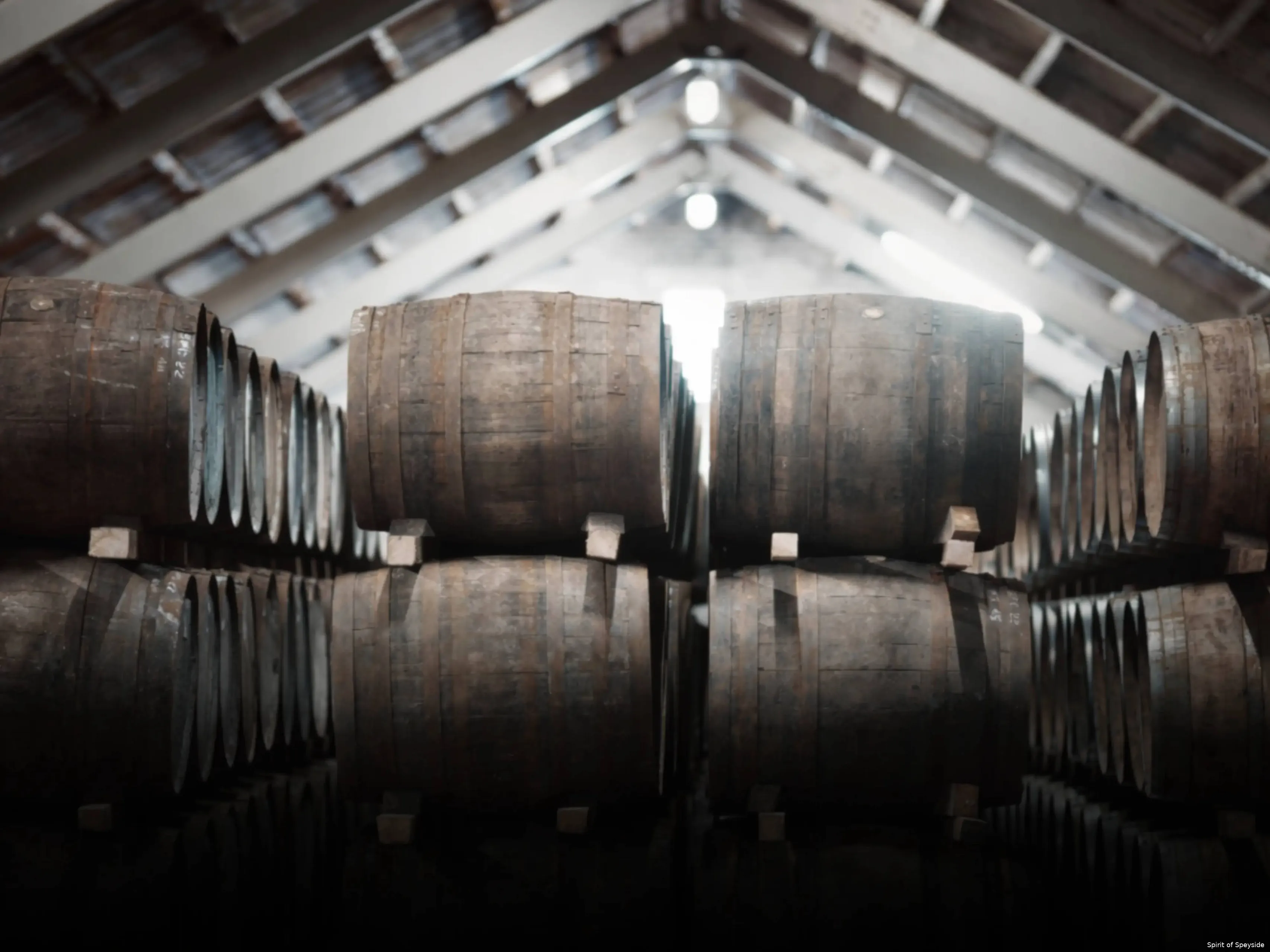 Spirit pf Speyside casks