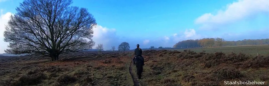 paardenpaardenvriendelijk veluwecropped omslag test 1