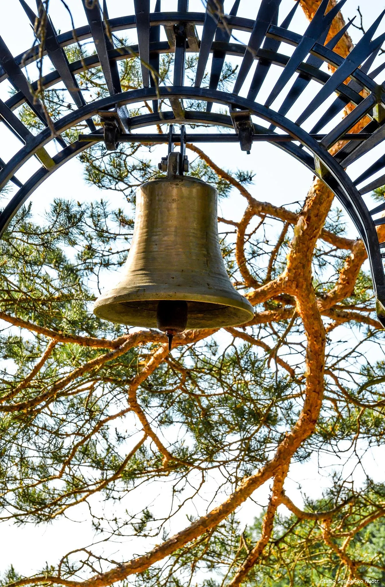 babrstas13320420 1201333353234670 7513116126961445202 o