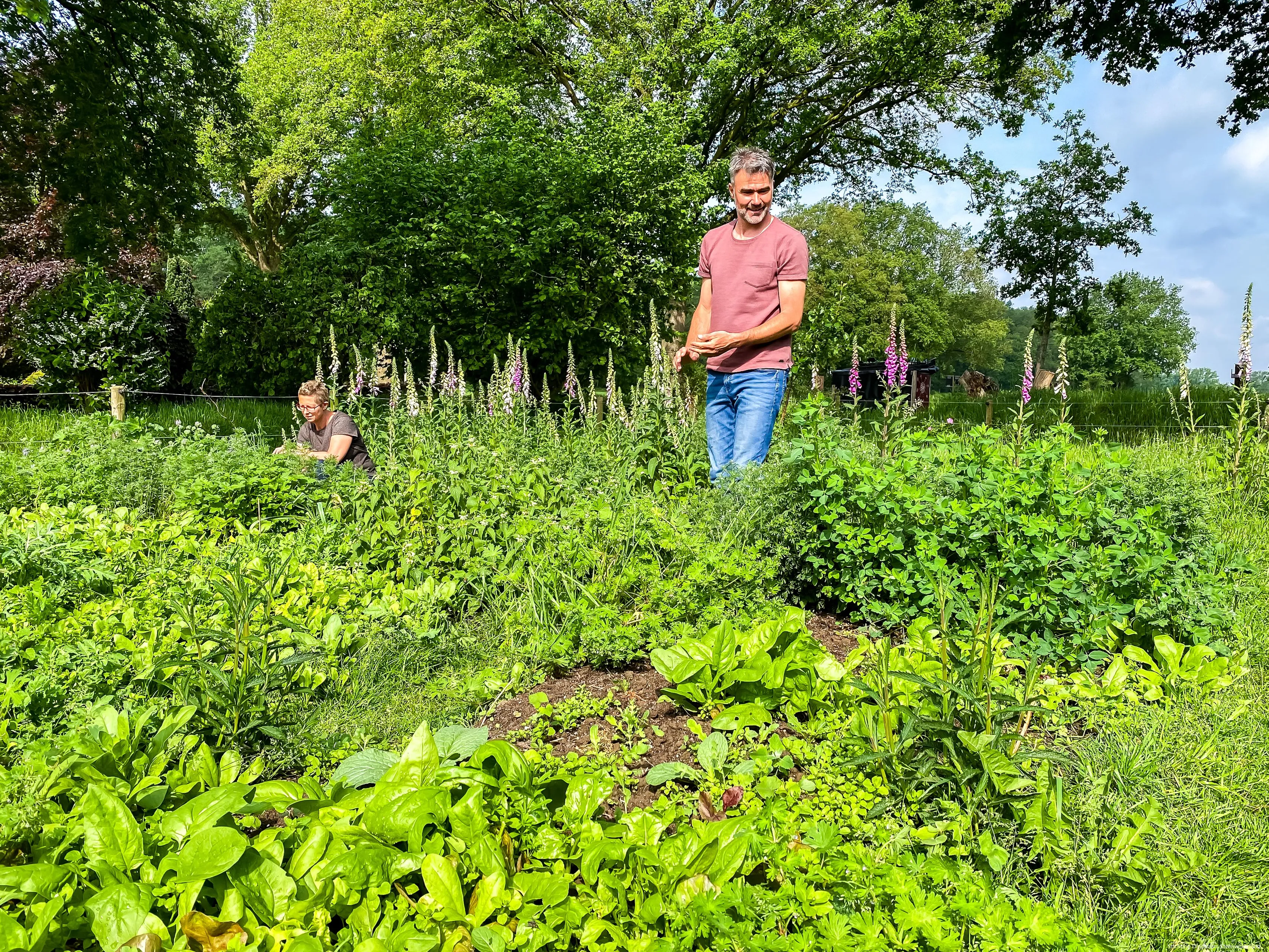 danielle en andre van wijhe in hun tuin hallerust