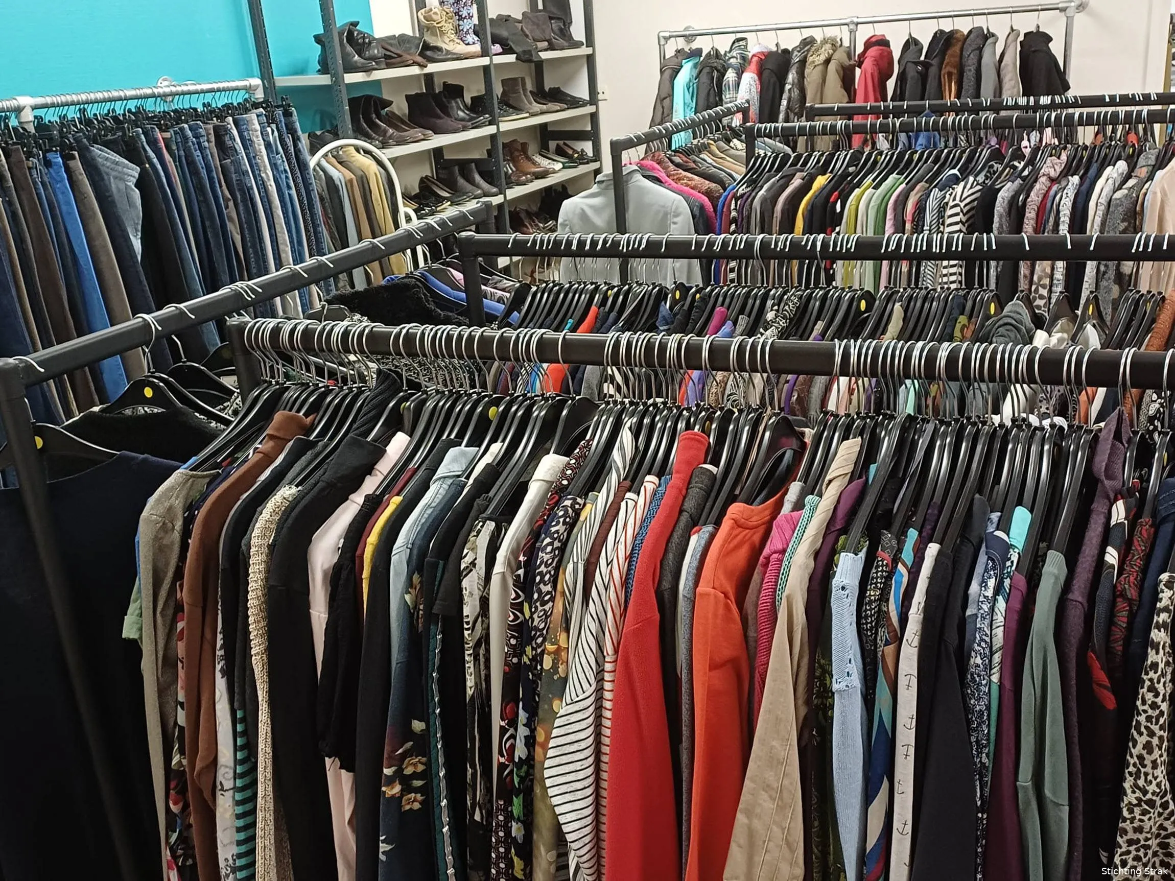 Warmetruiendag Kledingbank Dieren