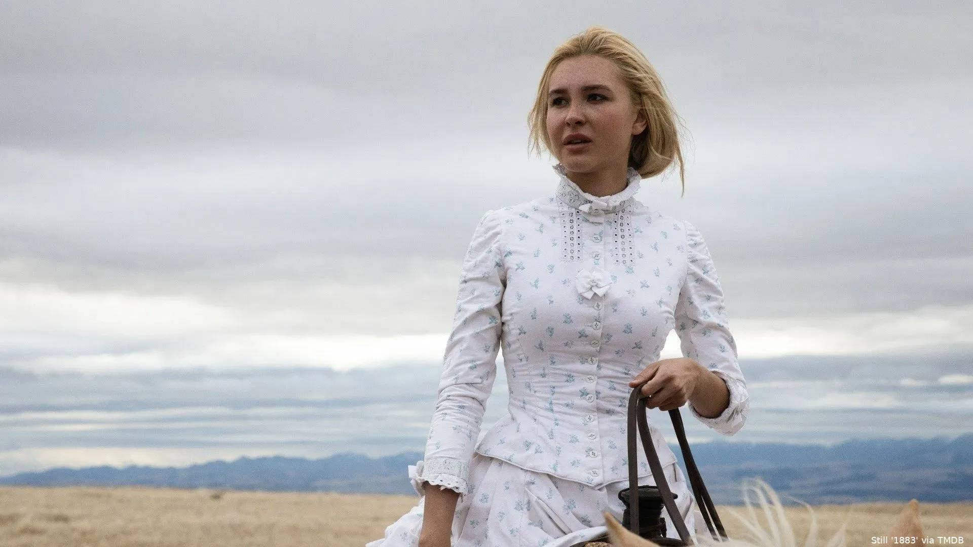 3h3TMpXptkoeoTrDdUYSoXGrZWF