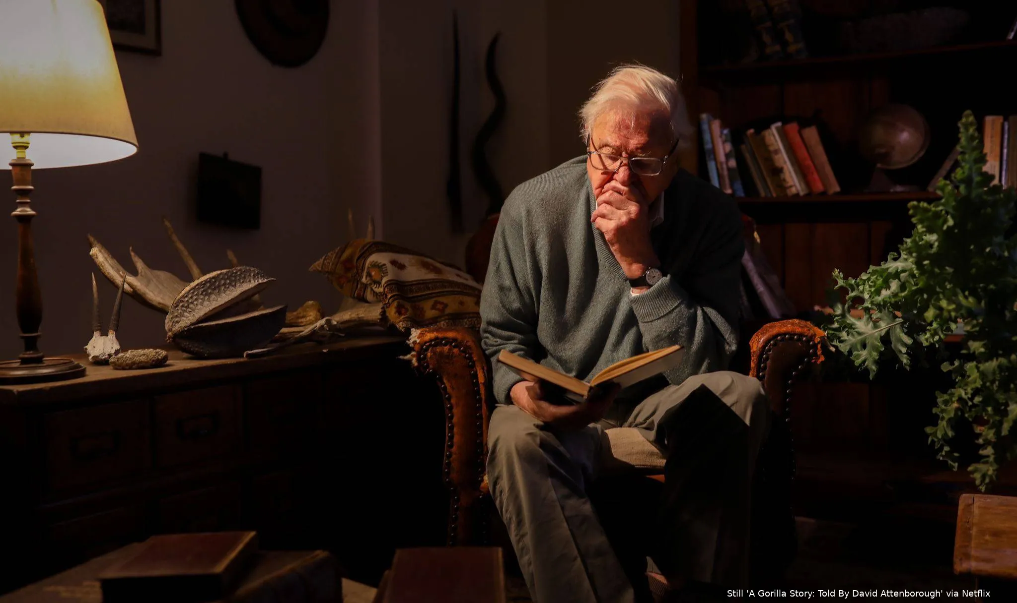 TobyStrong_e87f23f3-b79c-43ab-9faa-93d23c7a8626