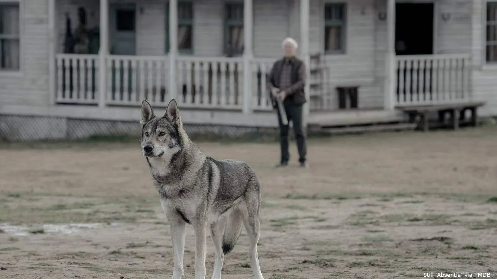 cUysNyARAhVeCICfBMQ2cA5Uw8W