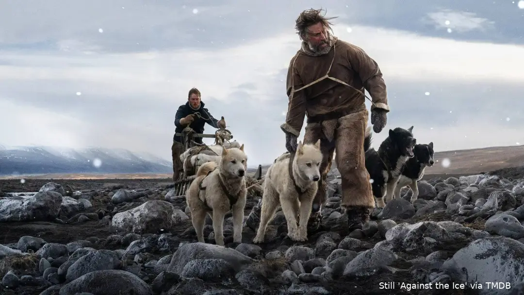 f0rJiN5BLhd8oSTBQanKArcV7GN