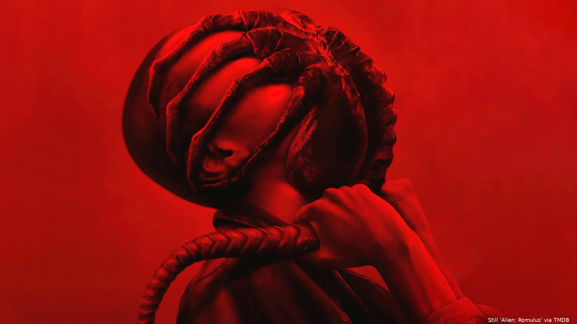 alien1
