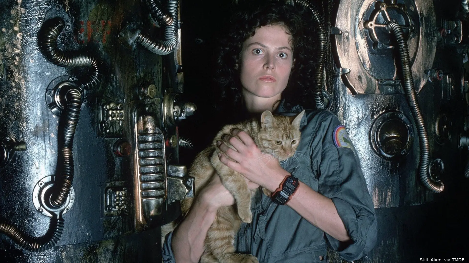 alien1