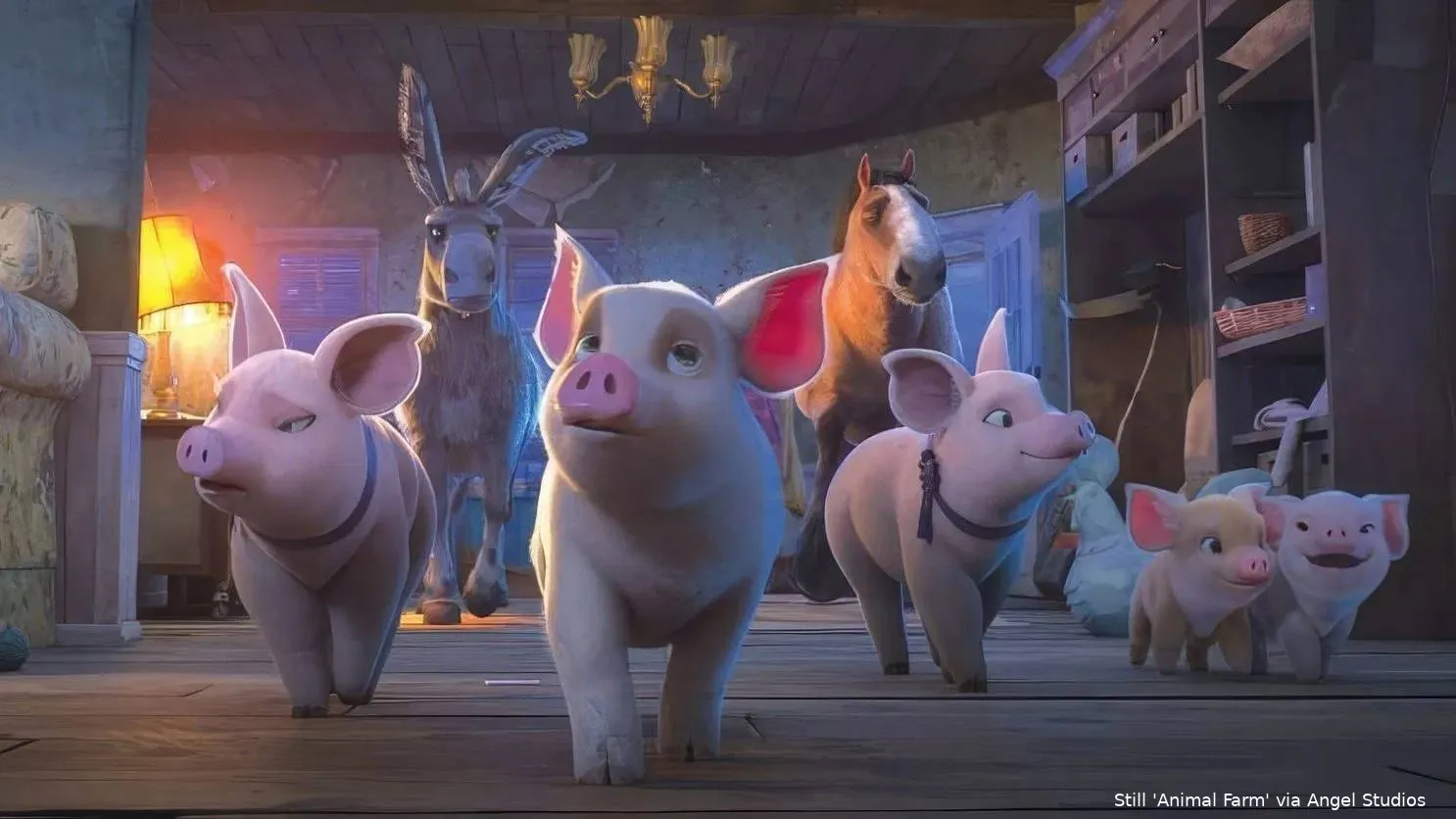 plDfFp8LWIh8c8WK5Xlgvwytgqs