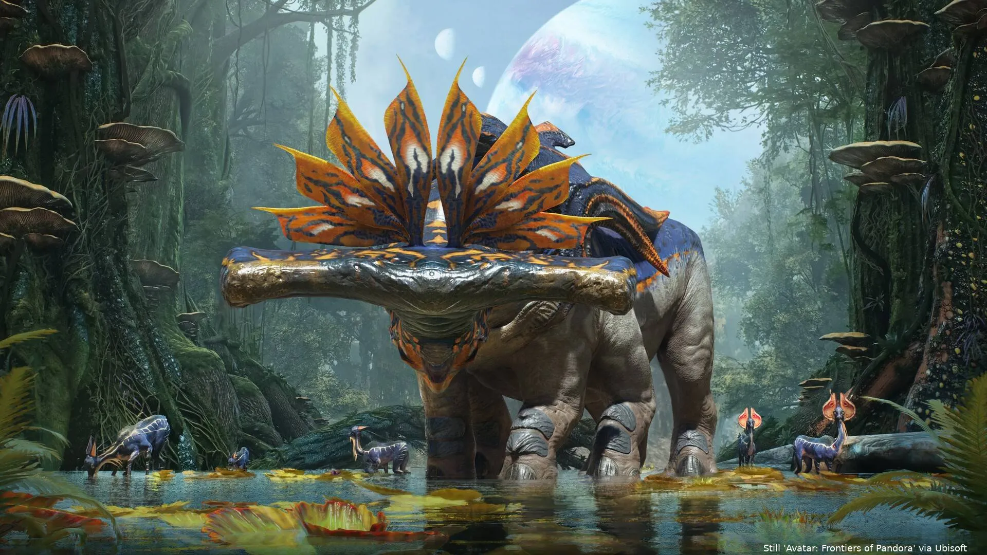 ss_5337d86a544274c8798ba18dd54b901b02ce5d3a.1920x1080