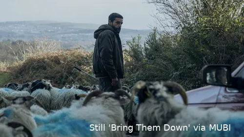 1HekBS5OqdtrRLqv7eCqGY1QRUD