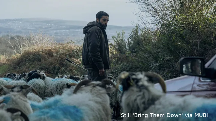 1HekBS5OqdtrRLqv7eCqGY1QRUD