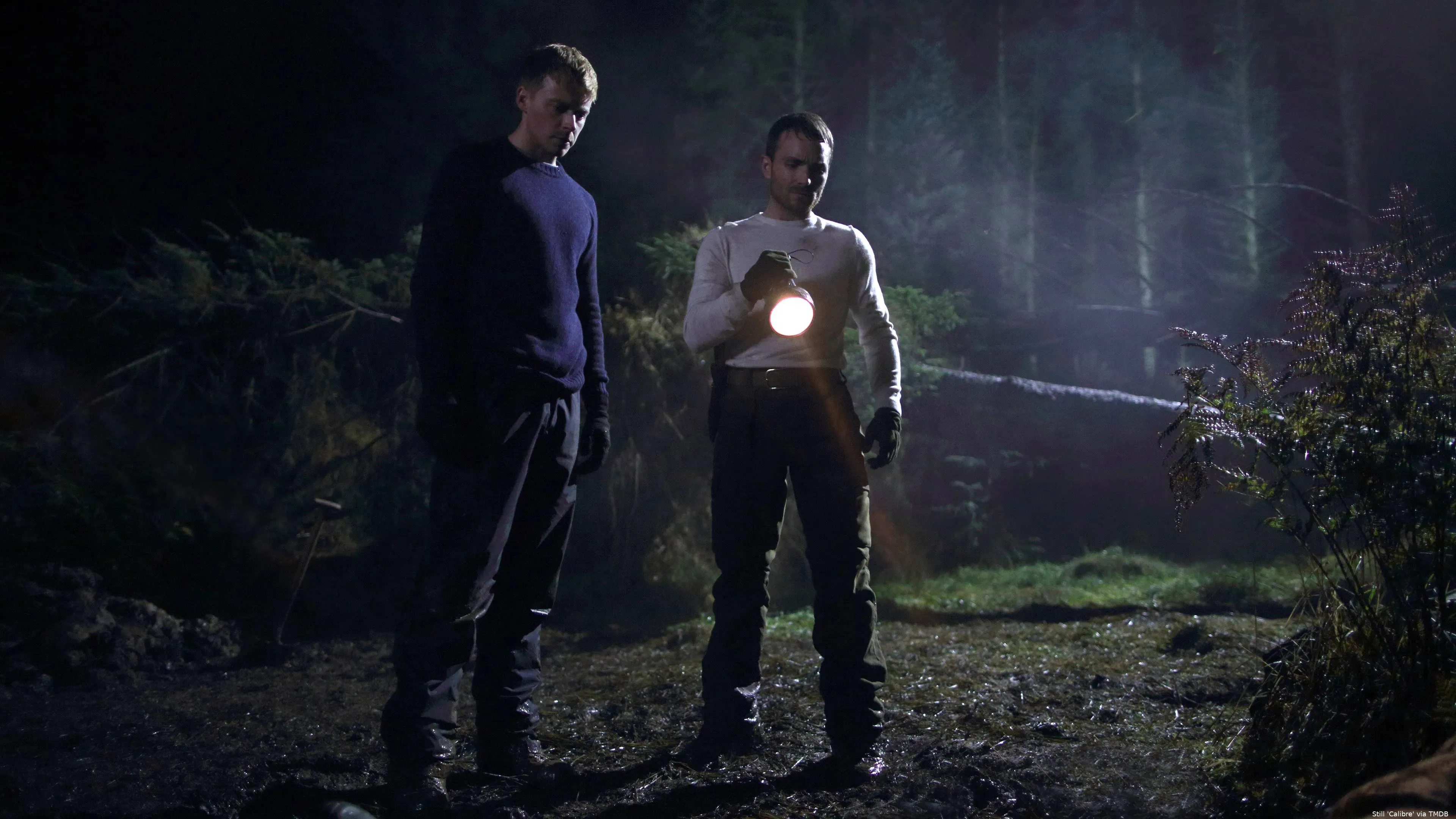 yVfhwgLBFDdI1LuaiFfA7y2FbVi