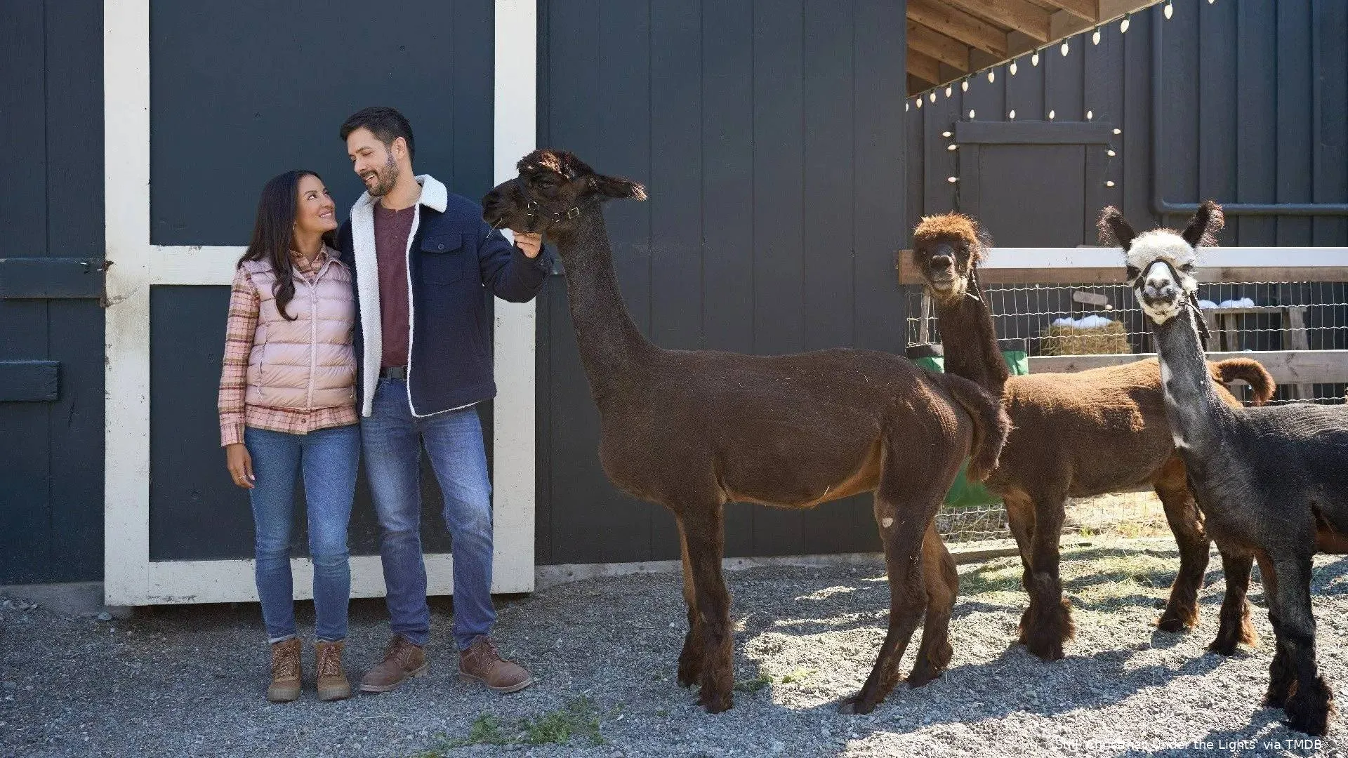 jVNm2H2sbW4XWiiFo2UXZmMVort