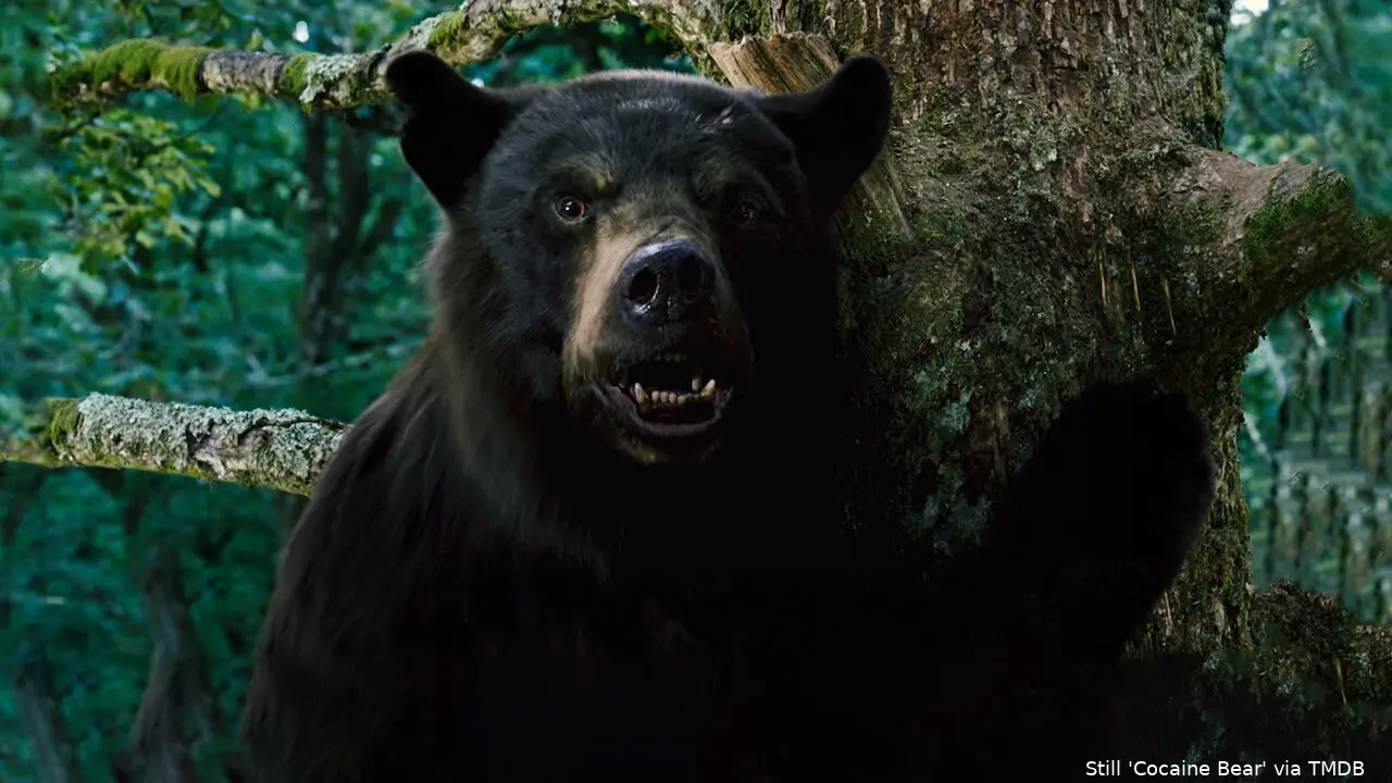 rdibslo9gwllpxxwwmjlkbpzog8