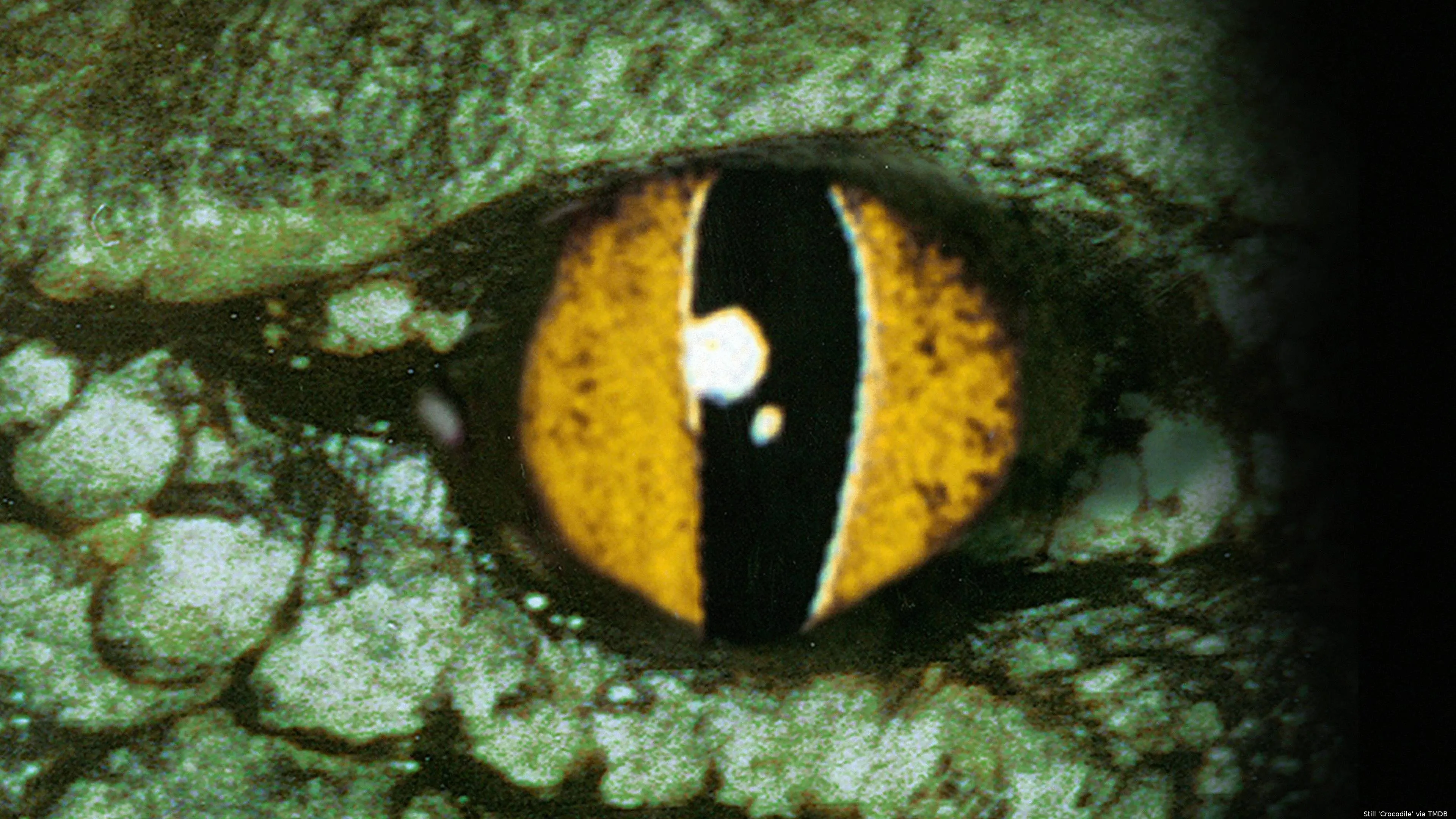 zgrTDX0UpbkGCxo9IPTSSEDBWtp