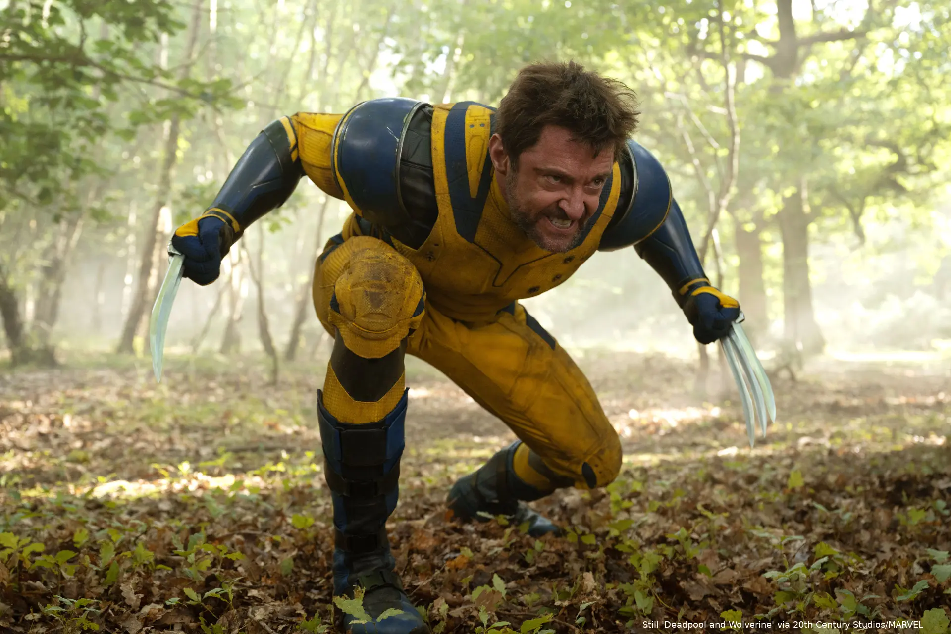 deadpool wolverine st 13 jpg sd high 2024 20th century studios and 2024 marvel