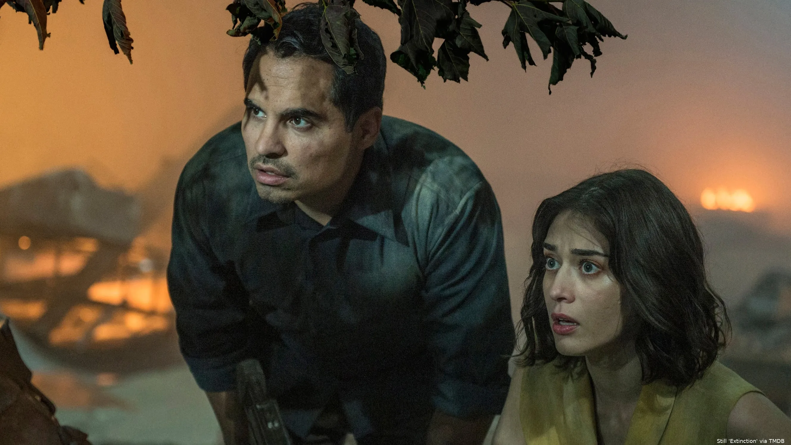 b1xkcrdx0na2xcpbcjxsoj9nqit