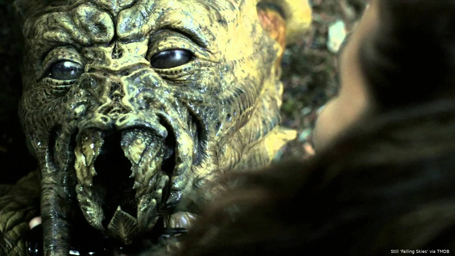 dd0knMndn83SZ3n4Nt25j3Nk6Fn