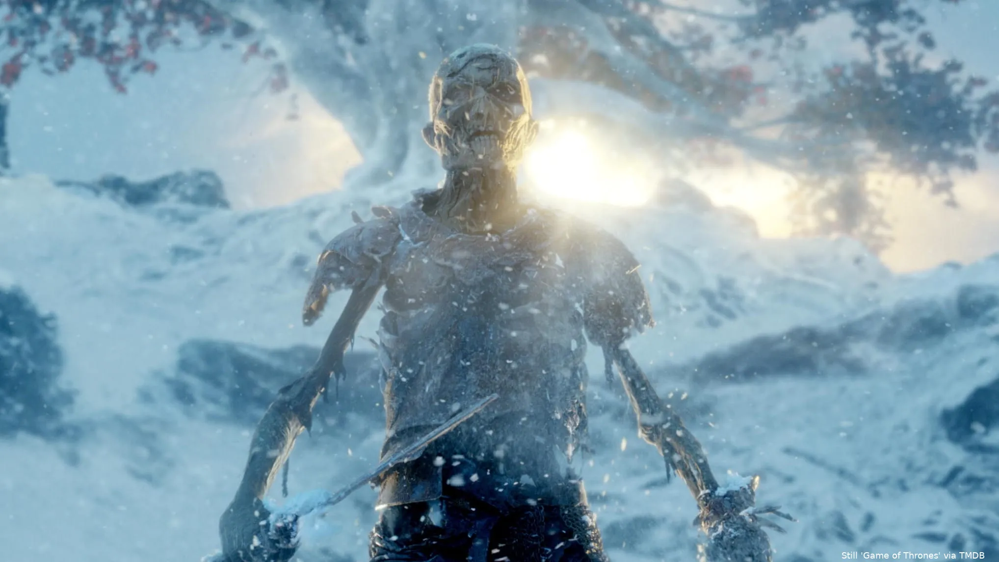 hcxloec8qa9odqj7bnd0fpxogem