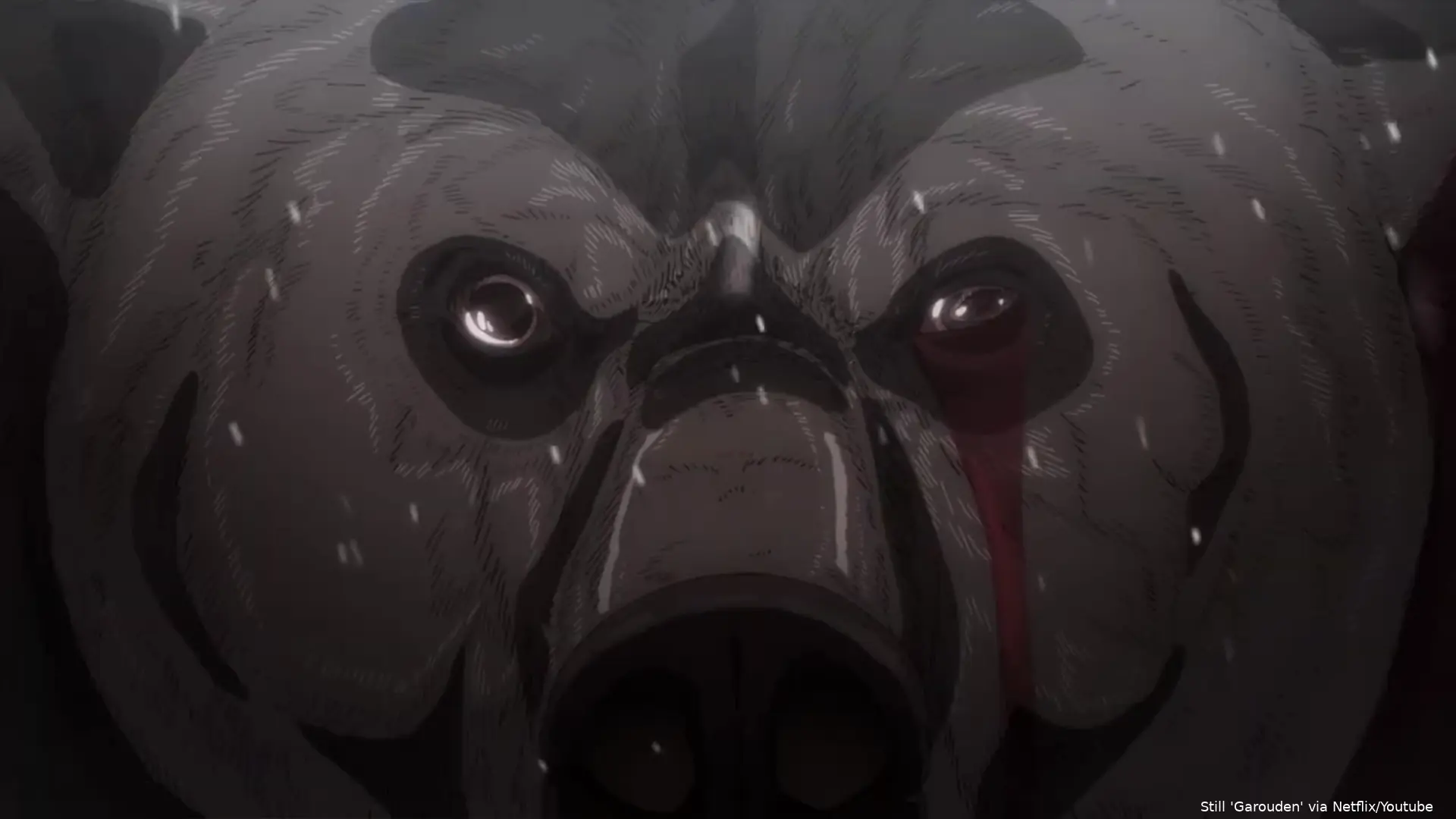 anime1