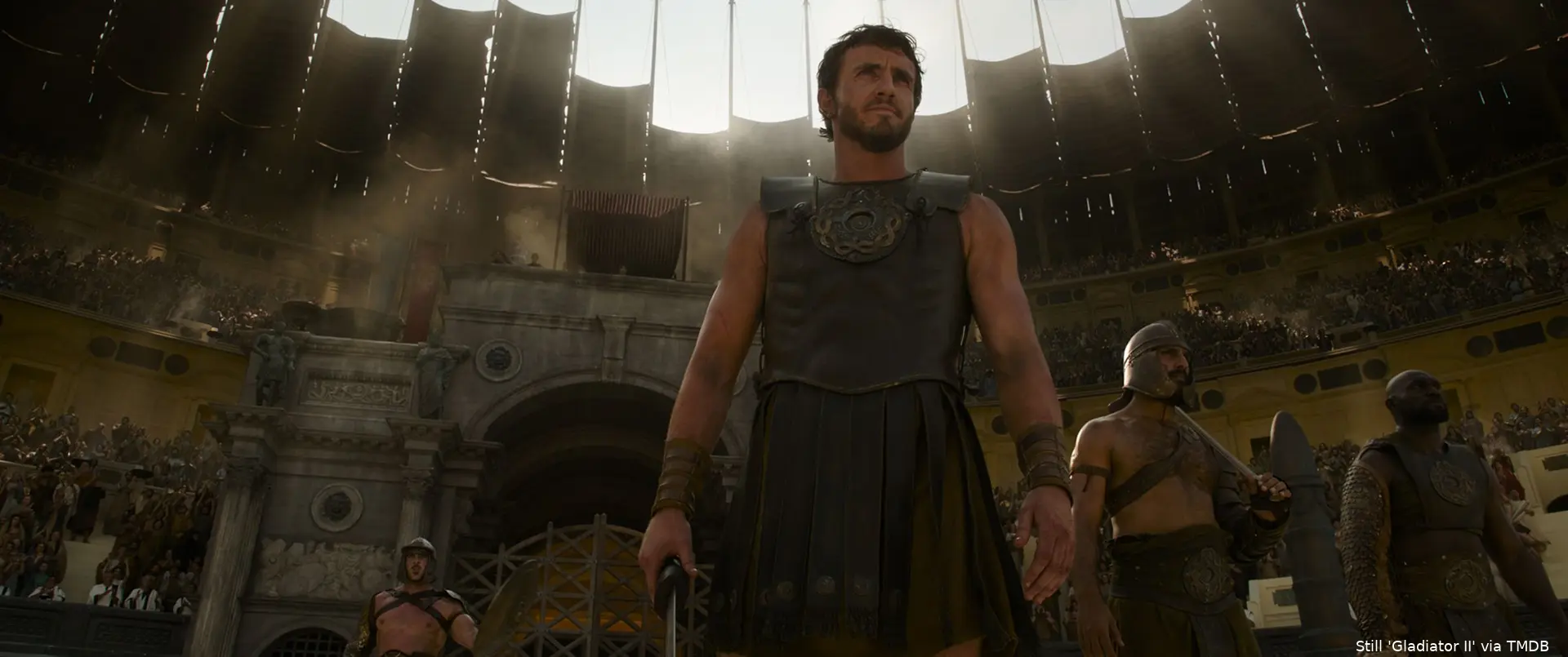 gladiator ii st 1 jpg sd high 2024 paramount pictures all rights reserverd