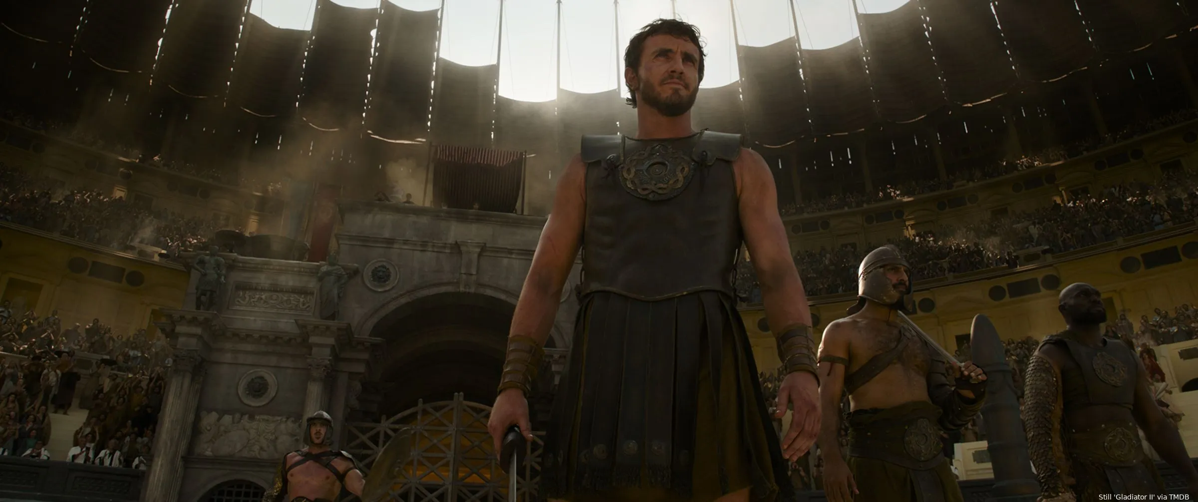 gladiator ii st 1 jpg sd high 2024 paramount pictures all rights reserverd