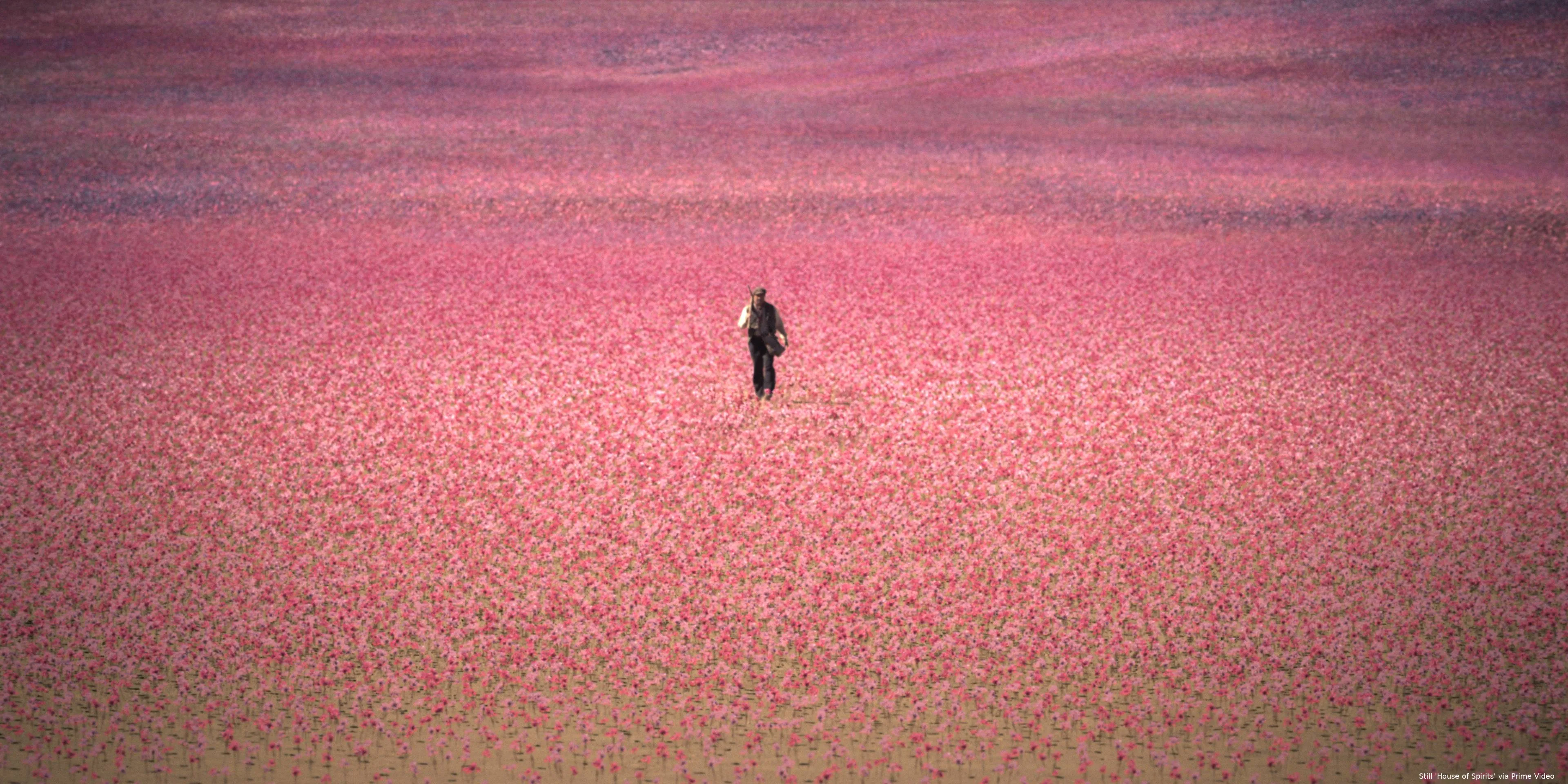 HouseoftheSprirts2_d1becd