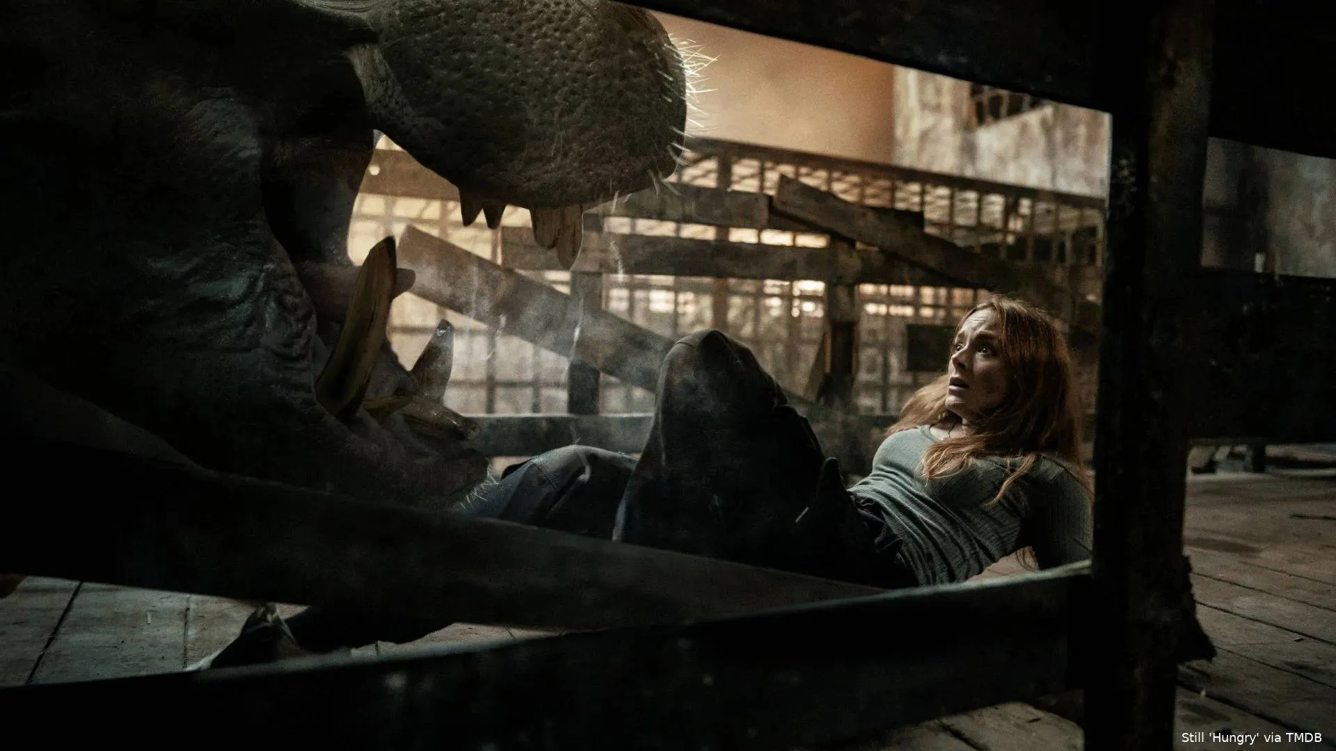 ikyzq678qnHtRY8ZiQJzK4hiOyW