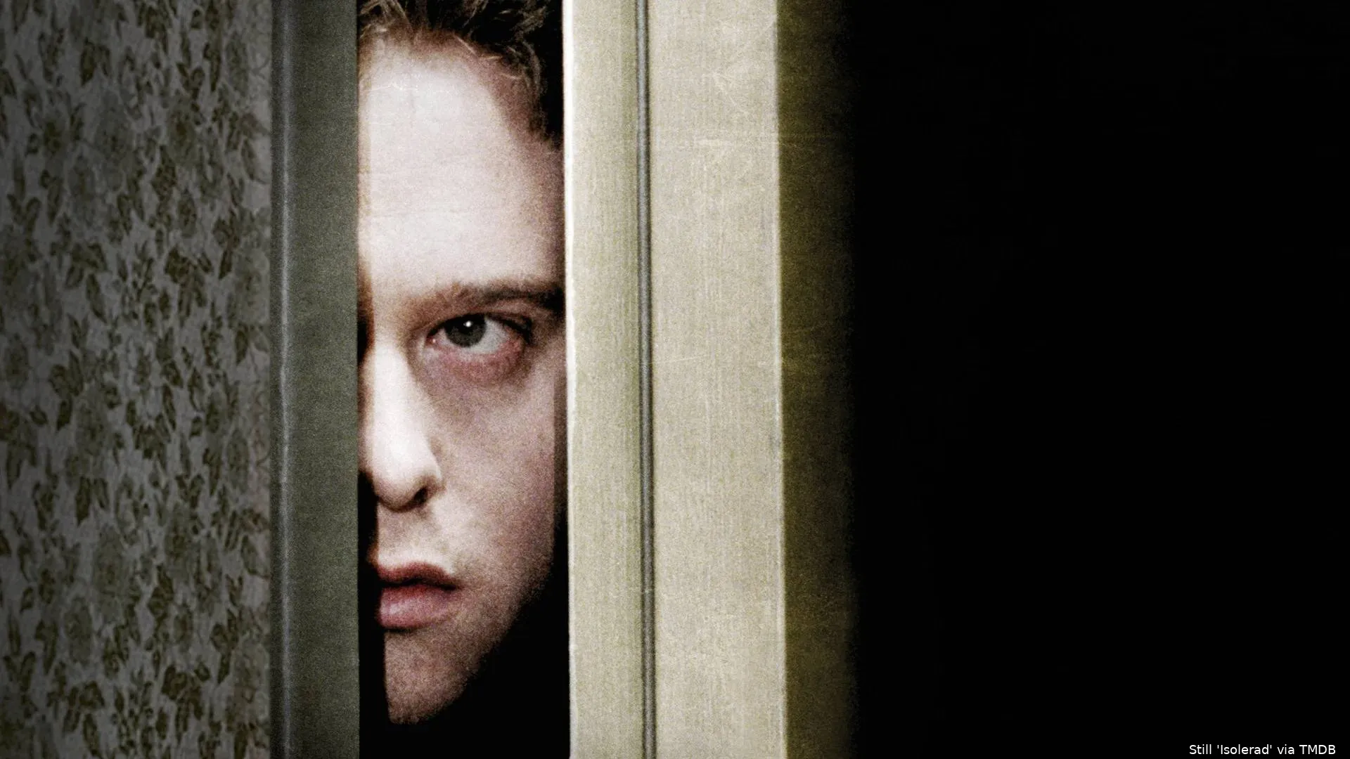 tF5PM6BExQak5cvQp9zGECAMDwH