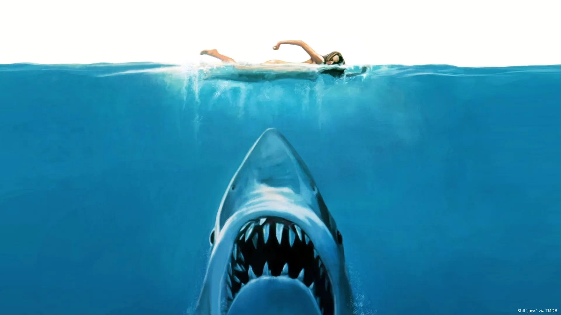 jaws1