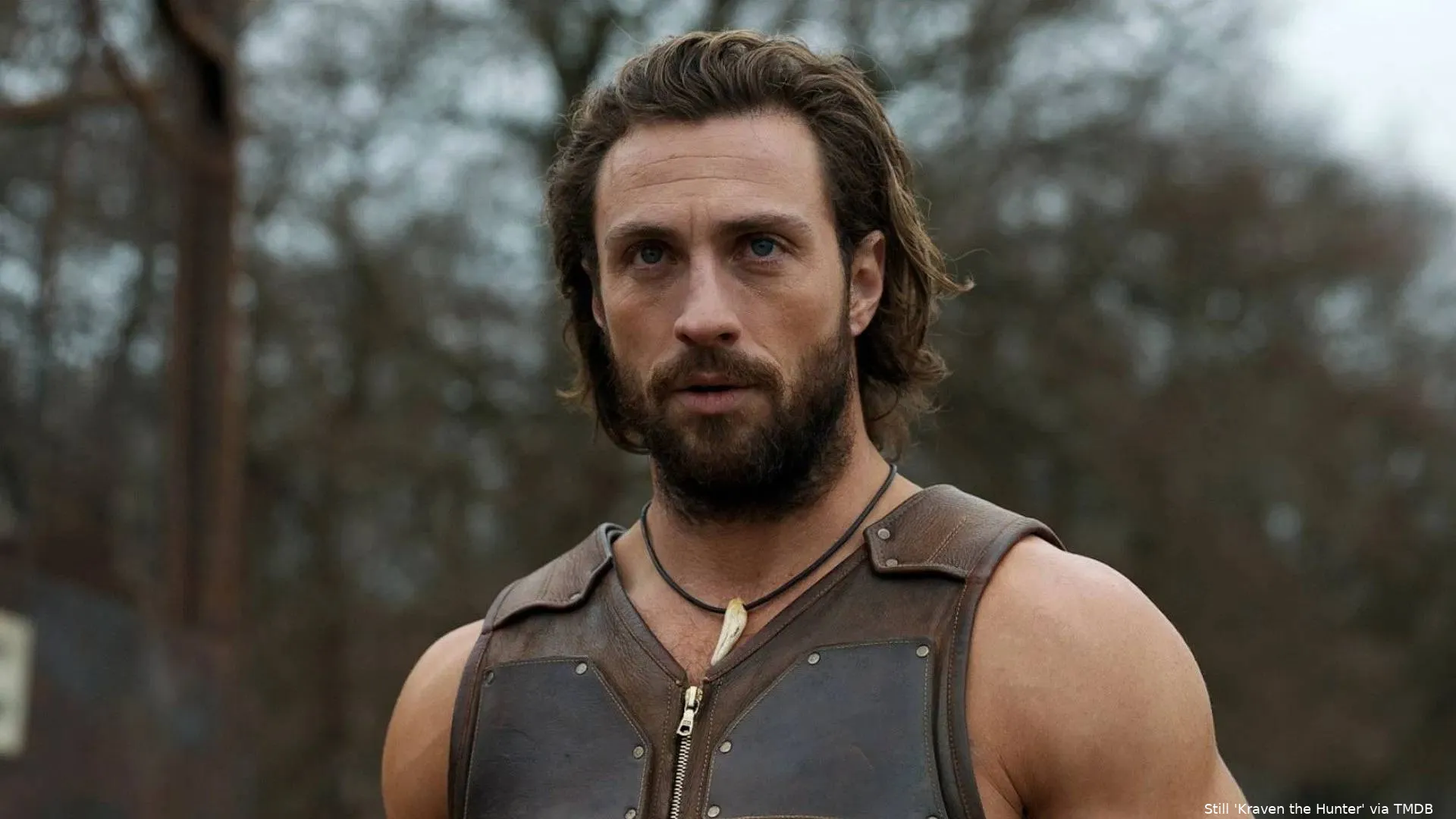 1GONL8rEHLZtC8VFNWHK79wpzqJ