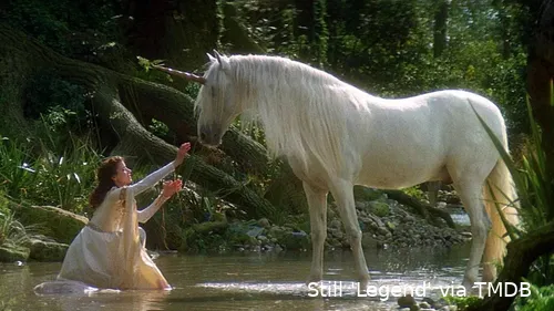 1bikUtAHF423GJAm1xlcQbVHnfc