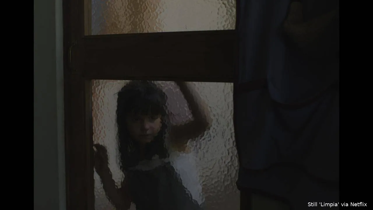 LIMPIA STILL 12