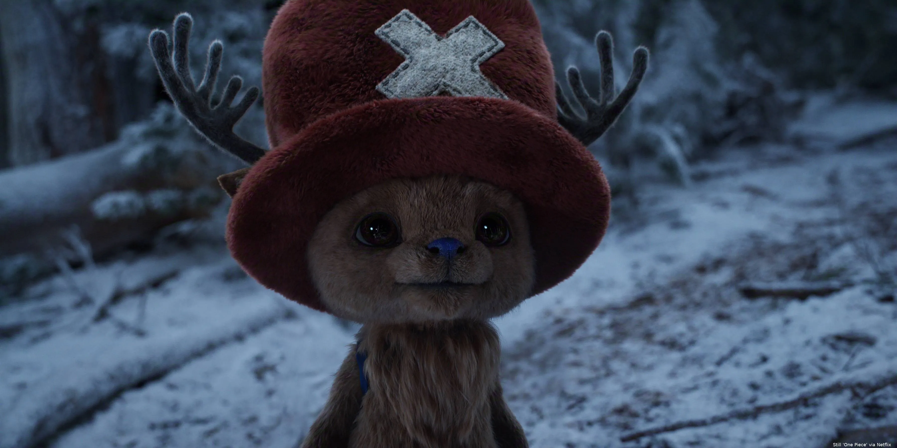 ONE_PIECE_n_S2__00_22_31_20R