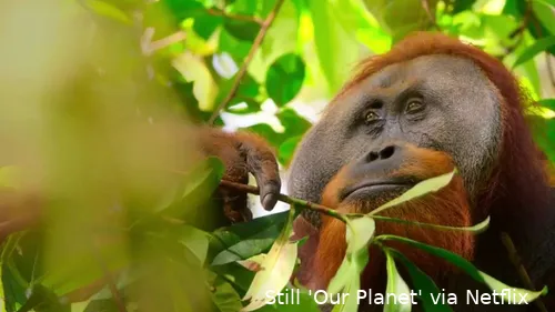 6VwyExzfHlD95vTb6Z8dPIboCLH