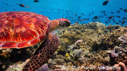 xbkbV1psch2SguYDVxWZEUbZPkg