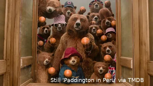 iybiobxumkfpbet5cmllotp0todjpg