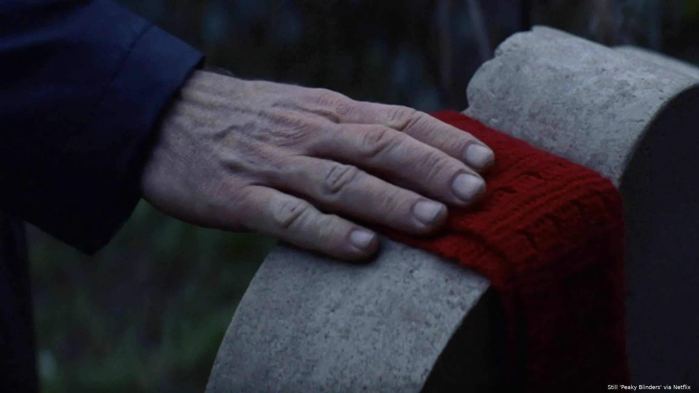 krCWaNfmwGKtbcaoeJJNoRMmCgq