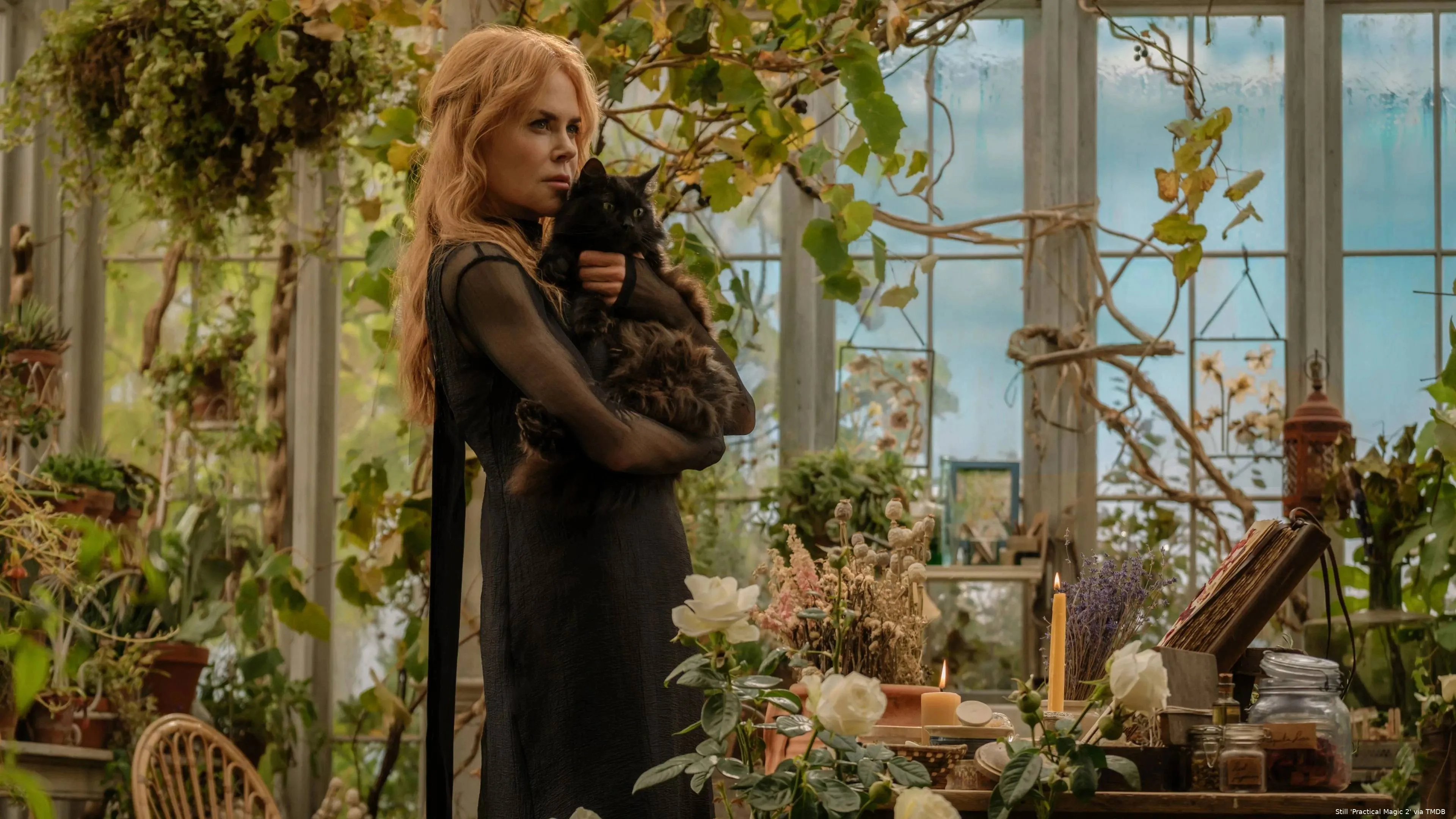 yDgYYuz8jDQCRJbHC3XM7IIGoeR - kopie