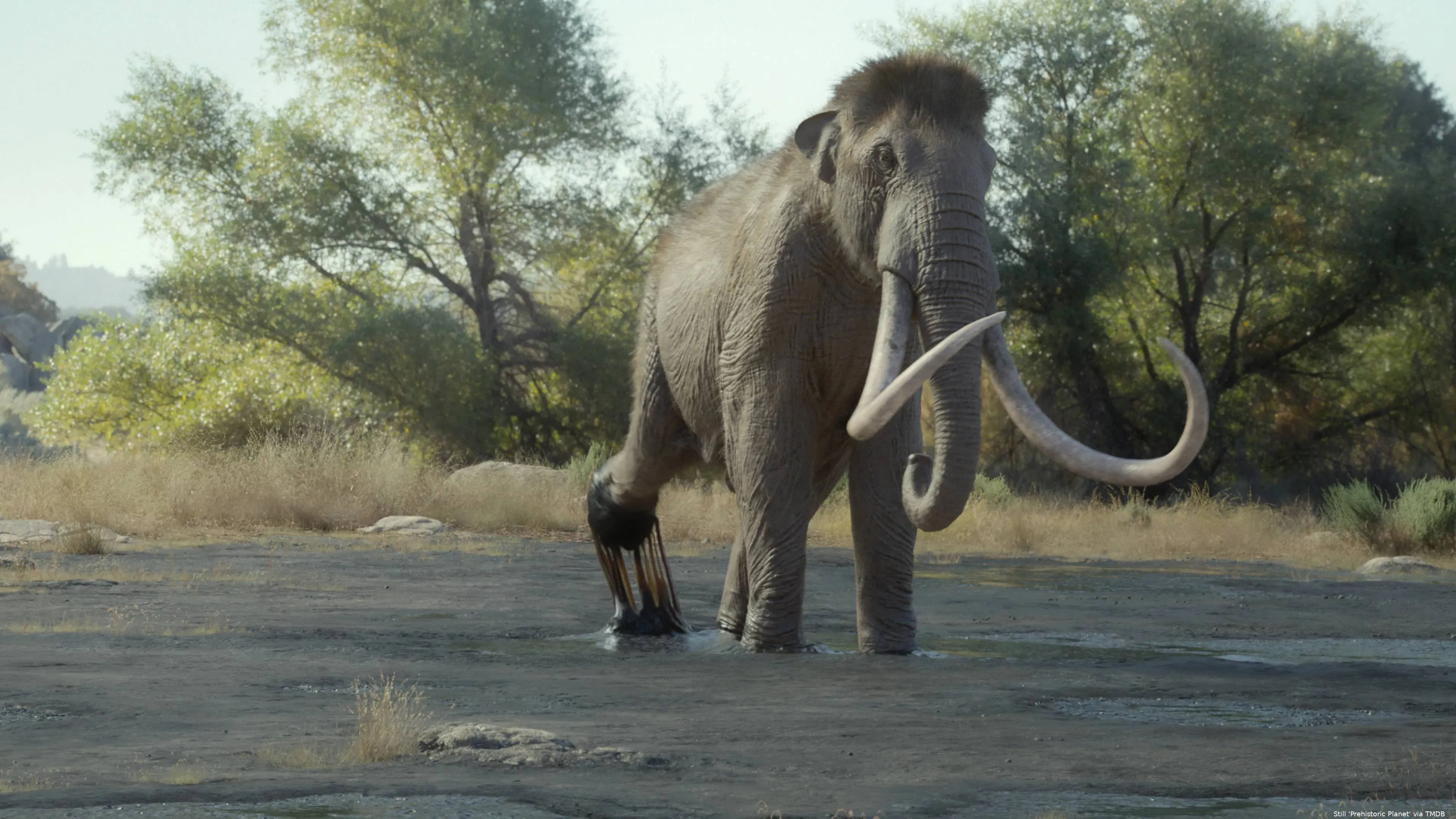 1E9APPtQ4koyQc6JRM2dQE30gMA