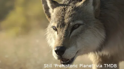 swWjq6vvM9v1aGGTZMGNMA8QpKi