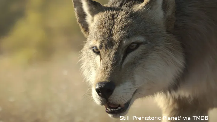 swWjq6vvM9v1aGGTZMGNMA8QpKi